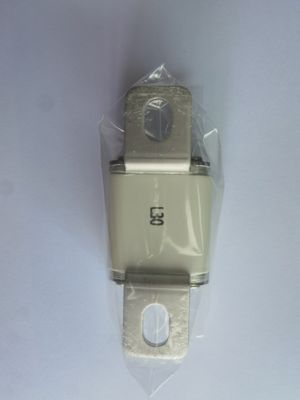 12V - 24V Ηλεκτρική προστατευτική ασφάλεια EV 3000A Με εύρος θερμοκρασίας -40 °C έως 125 °C